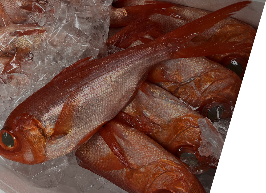 鮮魚専門店魚雄