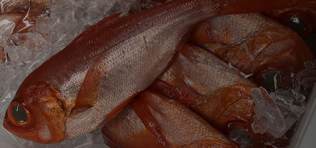 鮮魚専門店魚雄