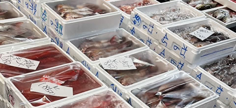 鮮魚専門店としての誇りを持って